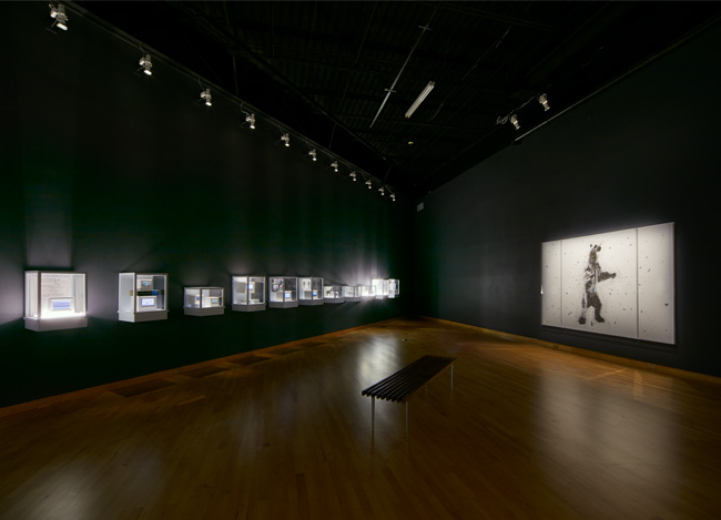 Installation view of The Visible Turn: Contemporary Artists Confront Political Invisibility exhibition at USF Contemporary Art Museum. Photo: Will Lytch.